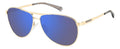Lentes de Sol Polaroid PLD 2160/G/S/X Piloto